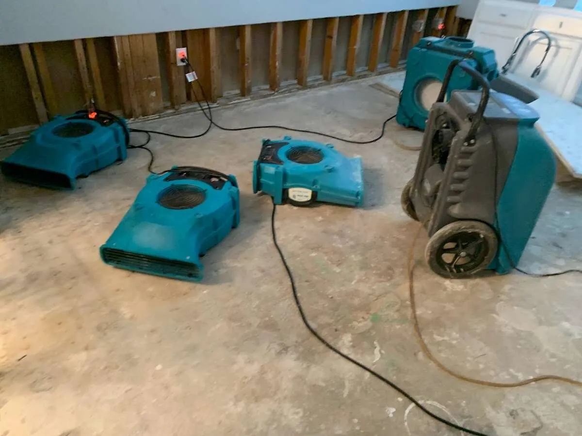 Water Damage Restoration services in Clemson University, SC